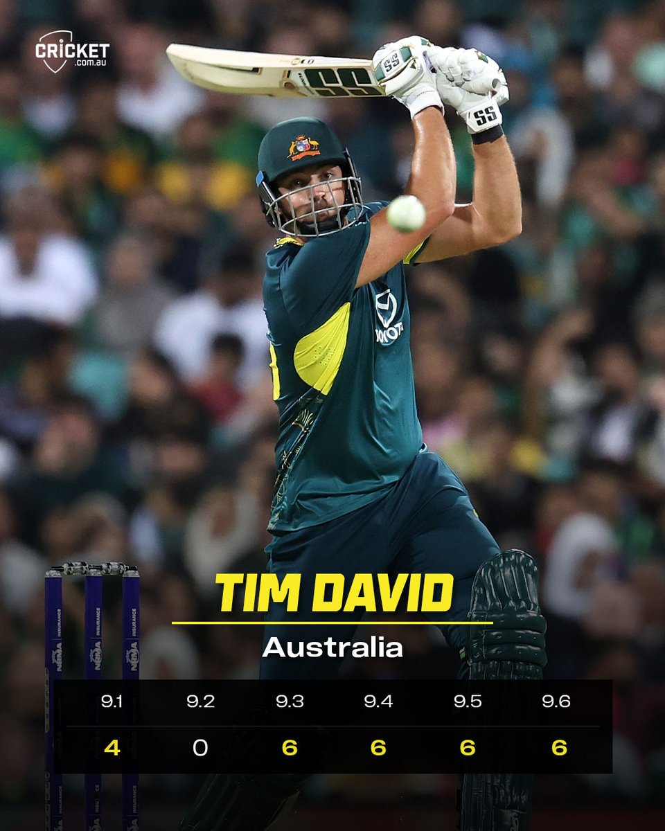 tim david
